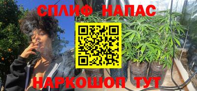 крисы Аша