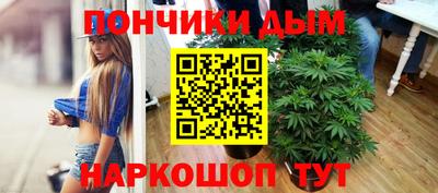 крисы Аша