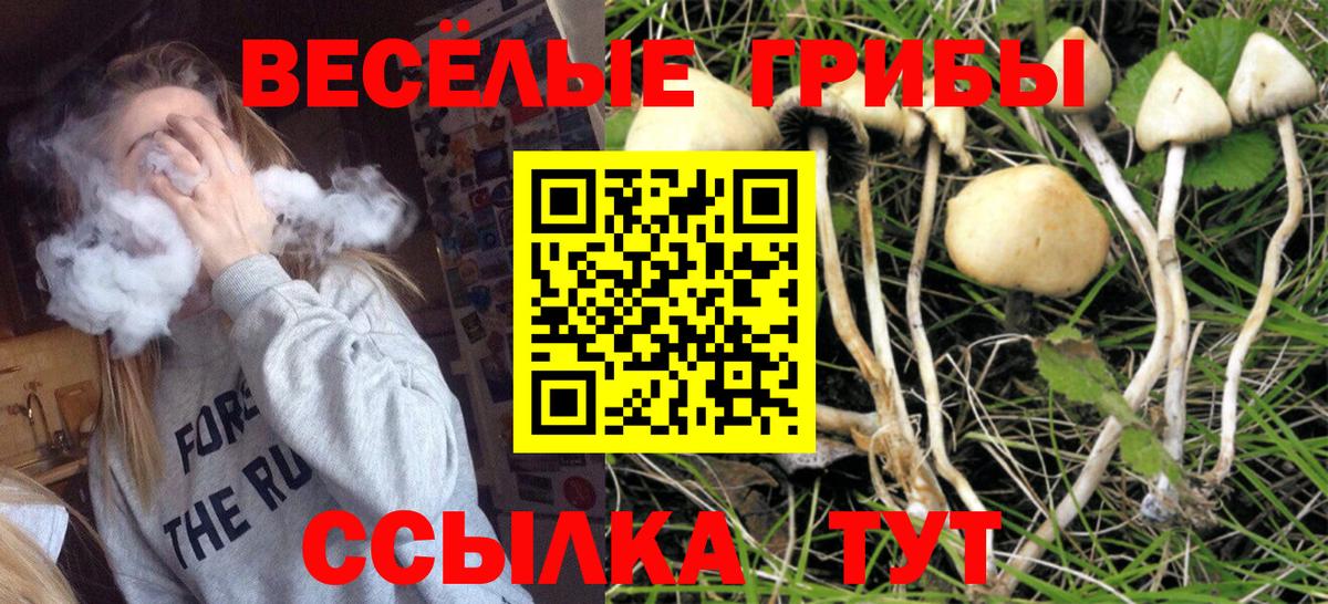 Псилоцибиновые грибы ЛСД  Вход с VPN  Касимов 